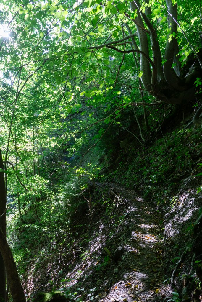 Grauer Stein Zustieg